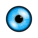 eye icon